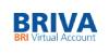 BRI Virtual Account